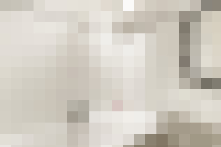  / #24