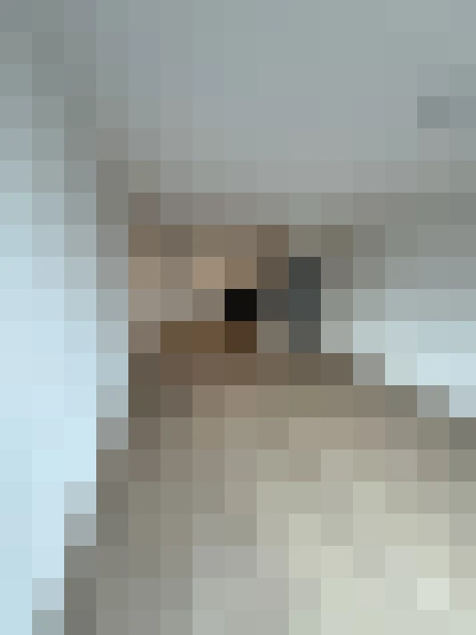  / #14