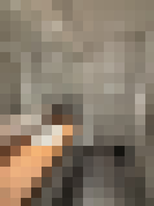  / #31