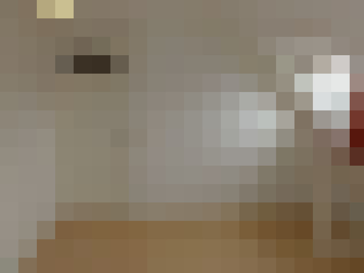  / #22