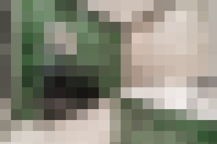  / #13