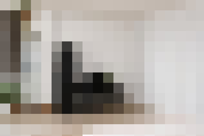  / #8
