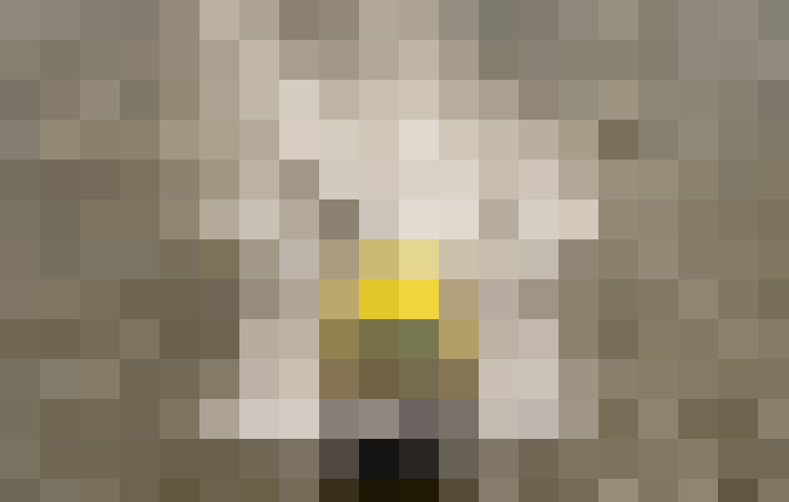  / #39