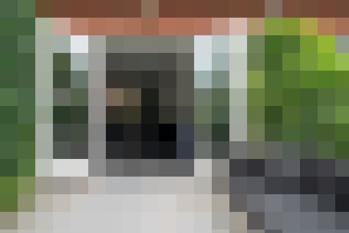  / #11