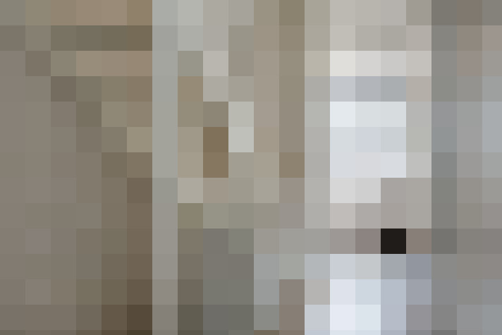  / #17