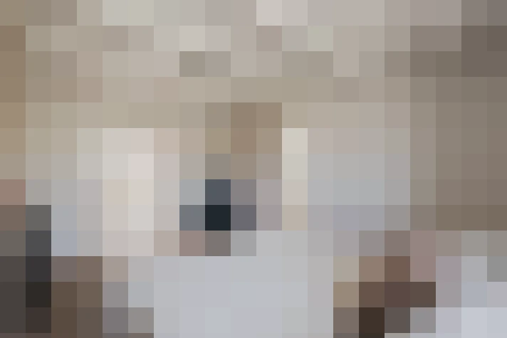  / #17
