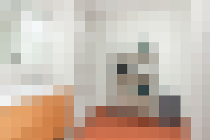  / #14