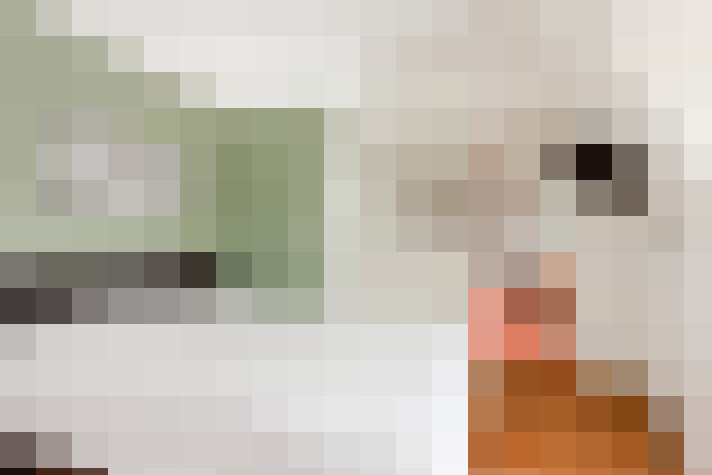  / #20