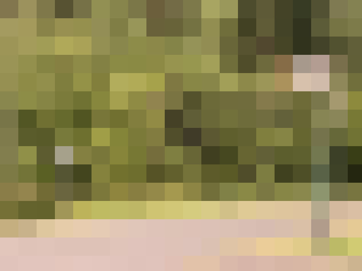  / #16