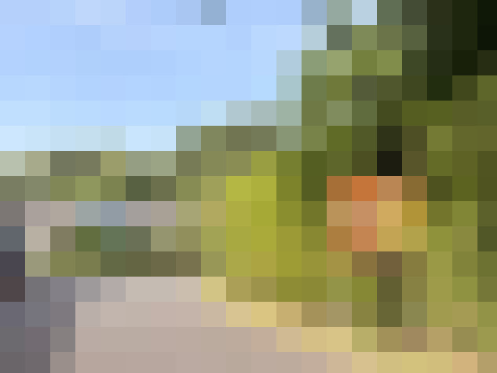  / #17
