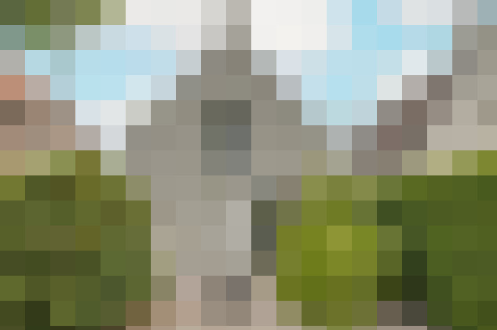  / #31