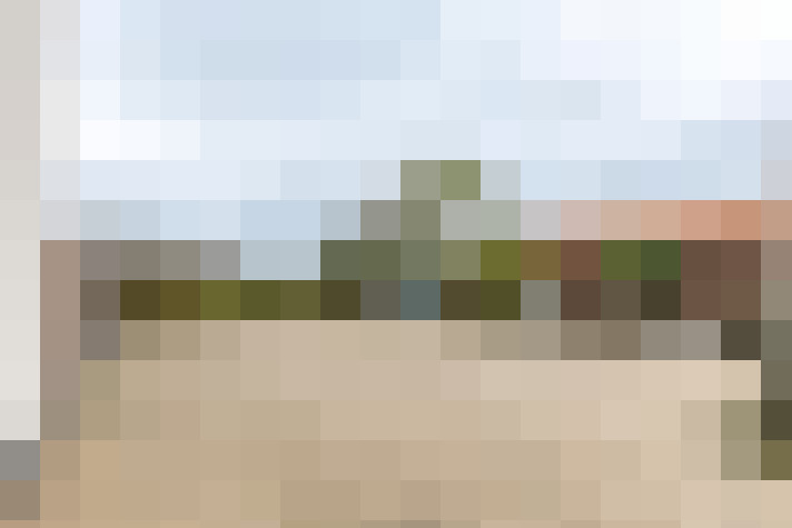  / #31