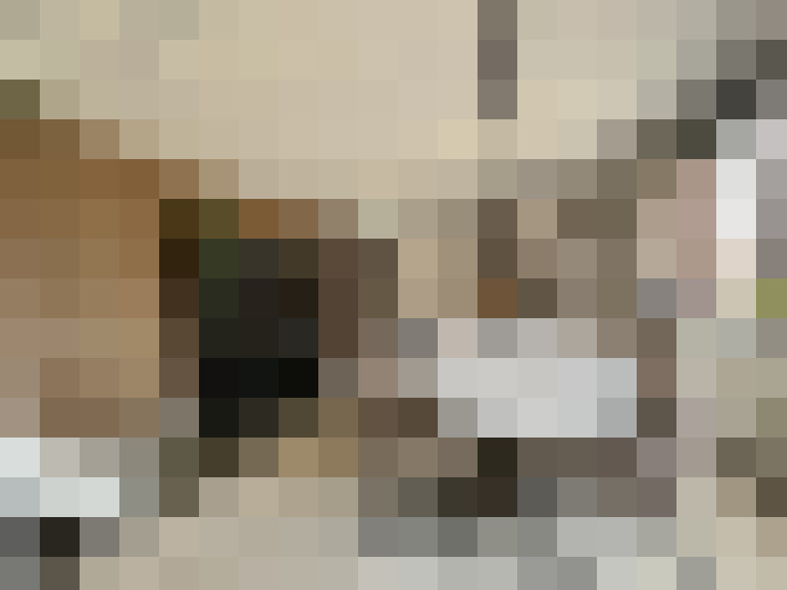  / #15