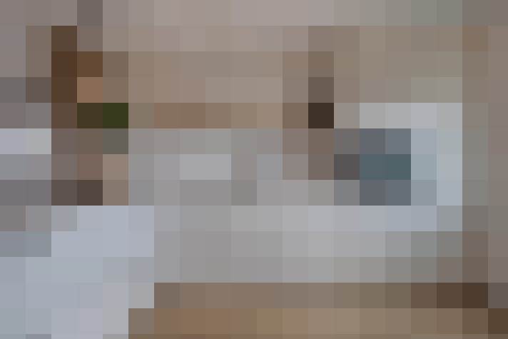  / #14