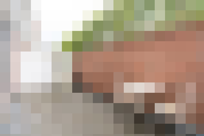  / #17