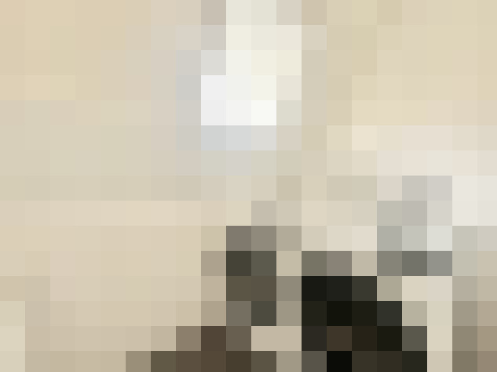  / #29