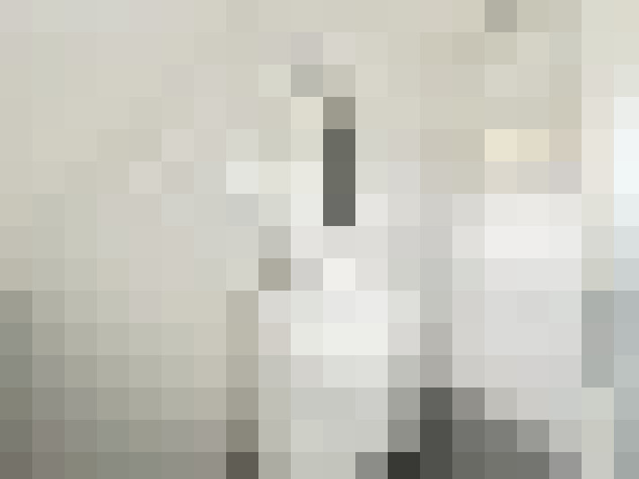  / #25