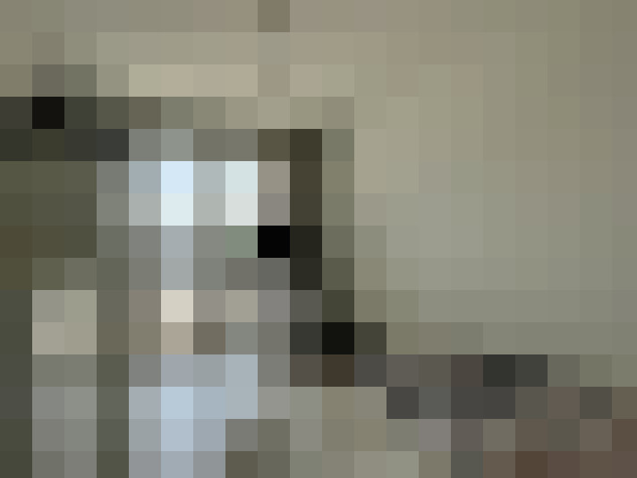  / #8