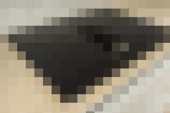  / #13