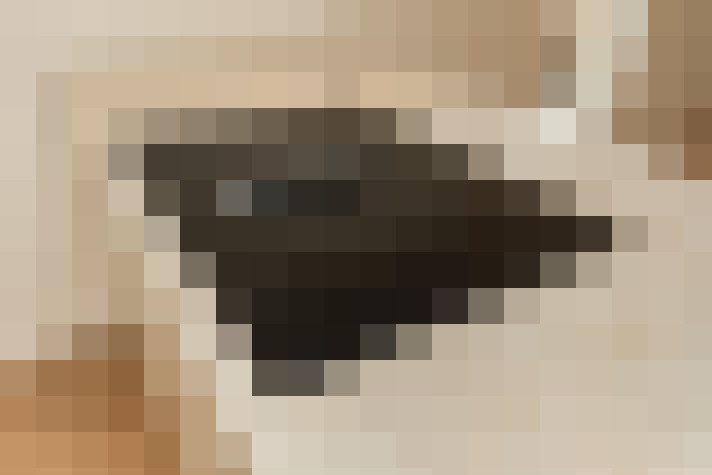 / #6