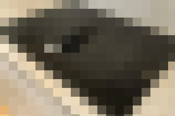  / #9