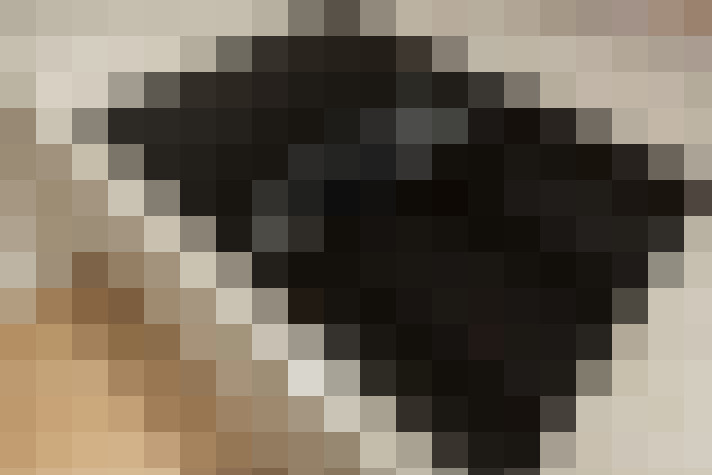  / #8