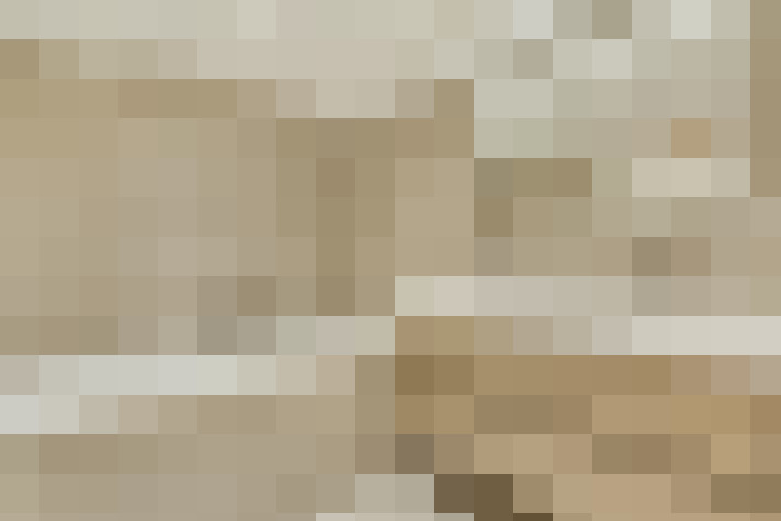  / #11
