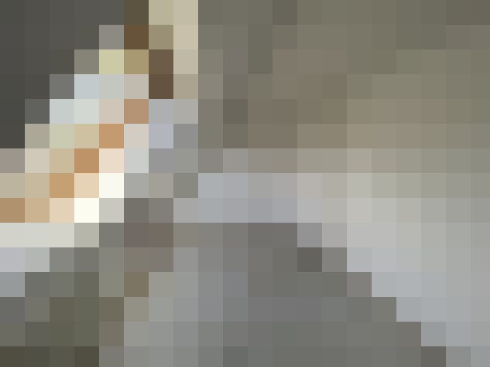  / #17