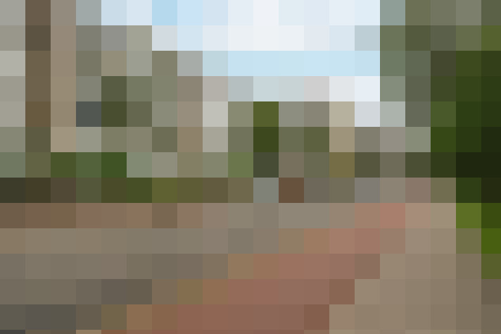  / #55