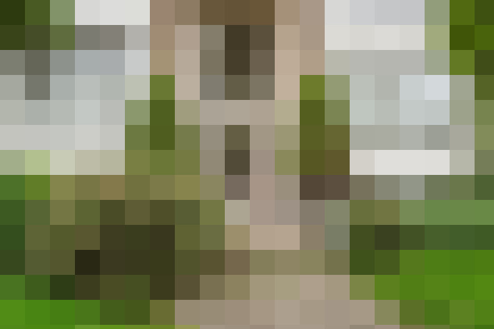  / #56