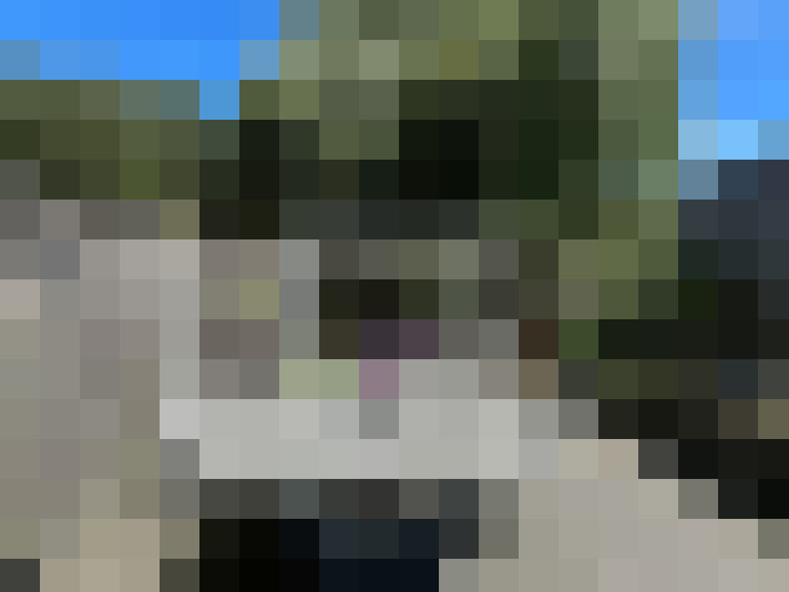  / #18