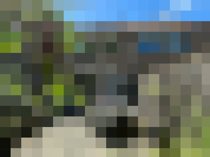  / #17