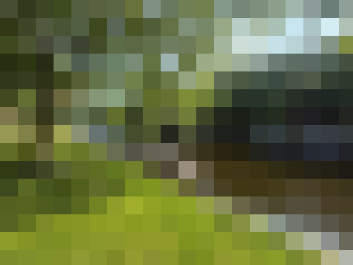  / #17