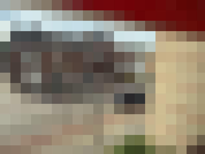  / #23