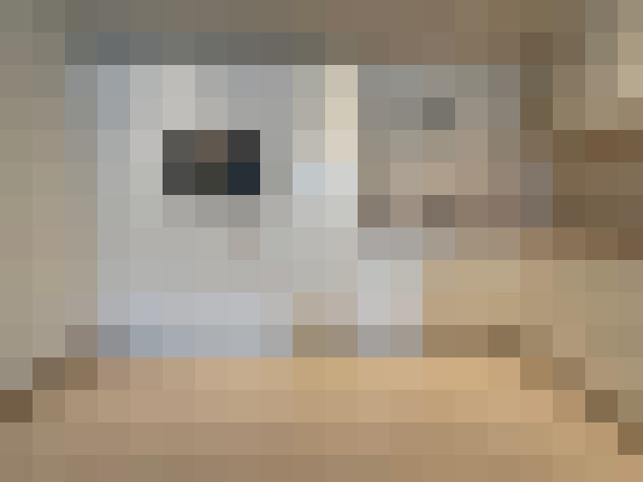  / #17