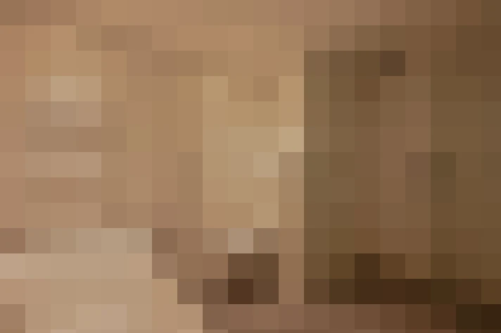  / #20