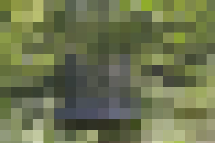  / #7
