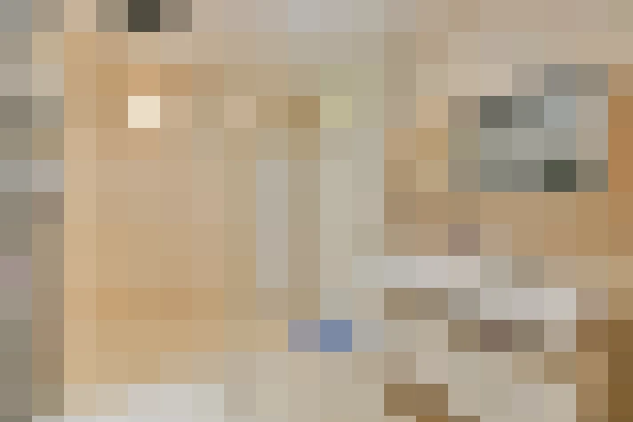  / #19
