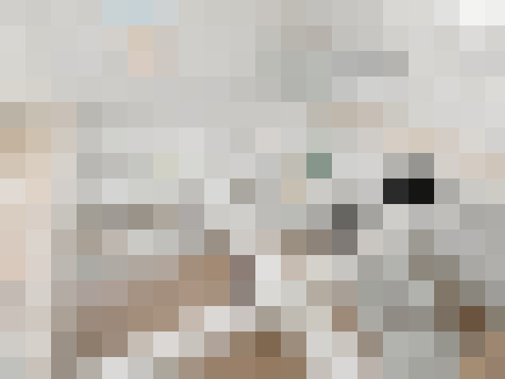  / #14