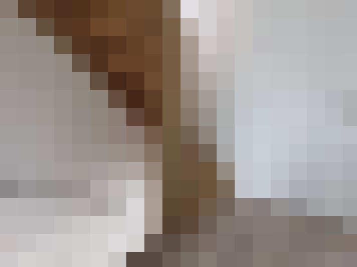  / #21