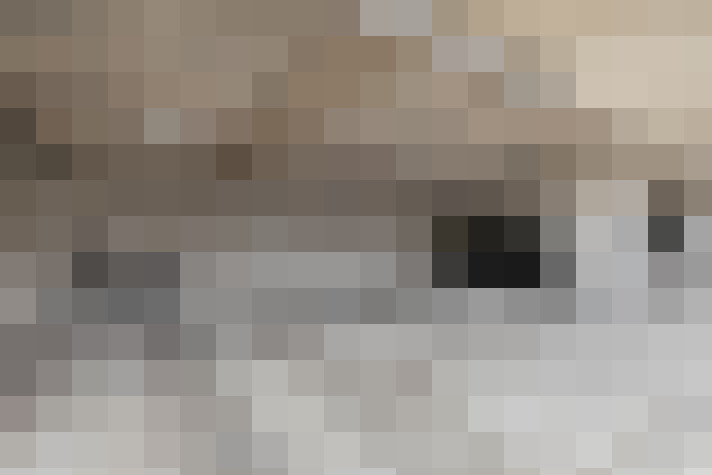  / #21