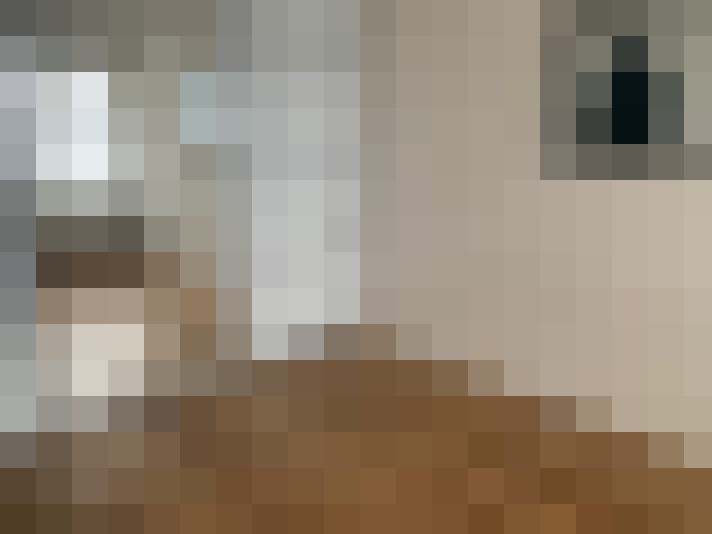  / #15