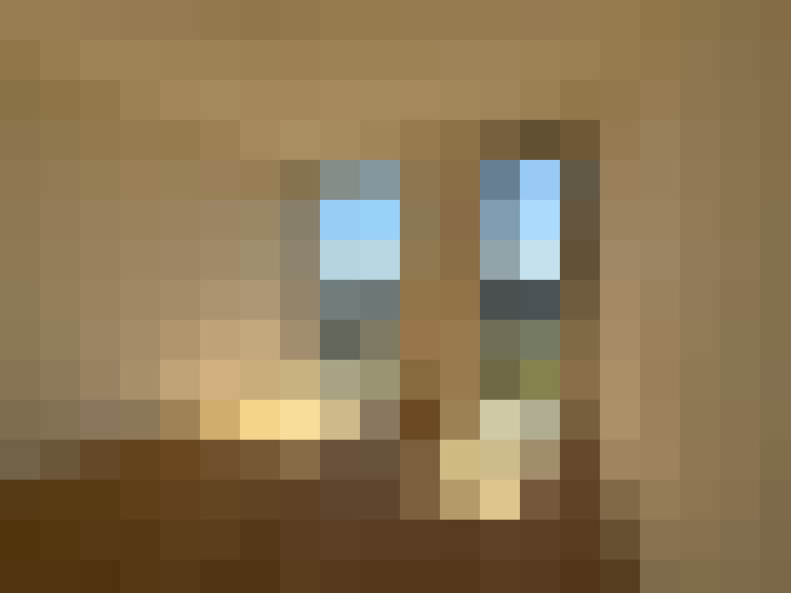  / #5
