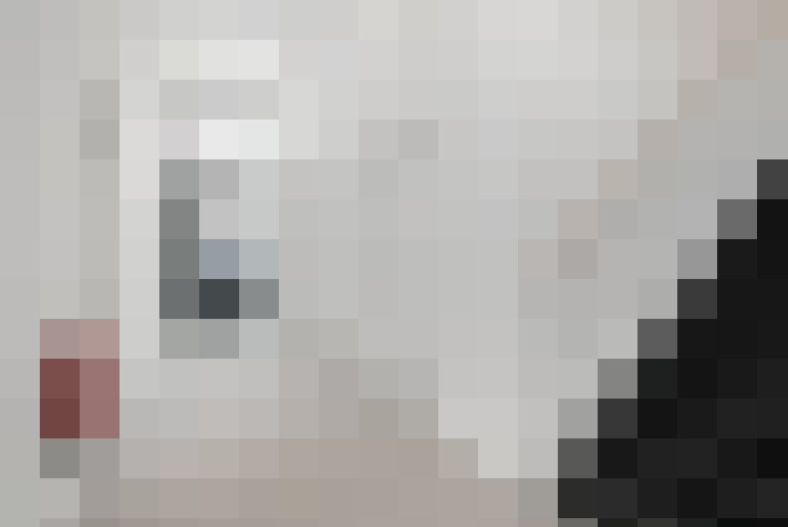  / #16