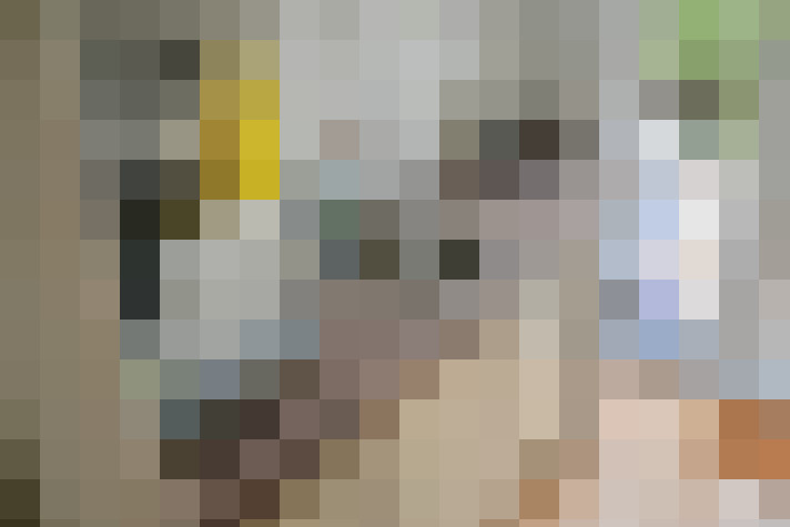  / #19