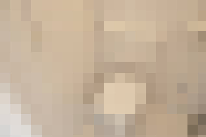  / #23