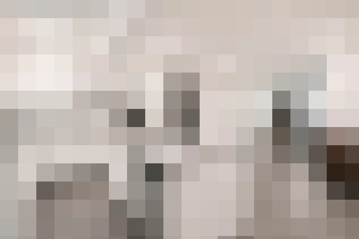  / #7