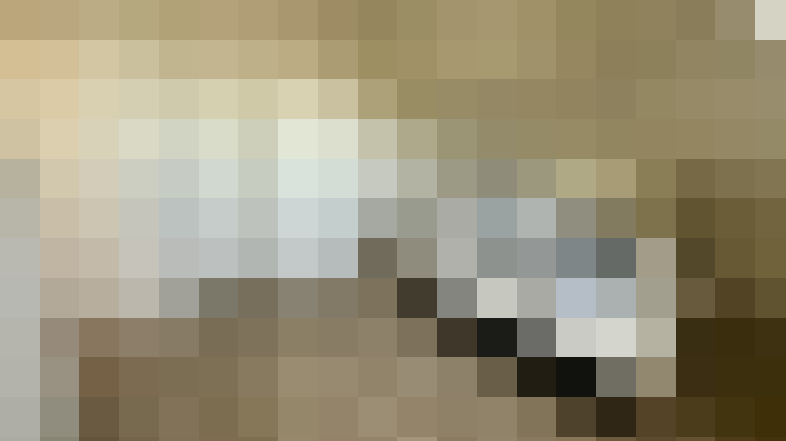  / #12