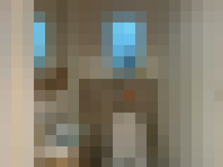  / #9
