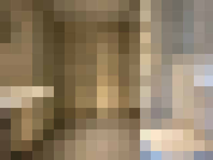  / #15
